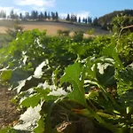 Vakantiehuis Podere Molino Peccioli