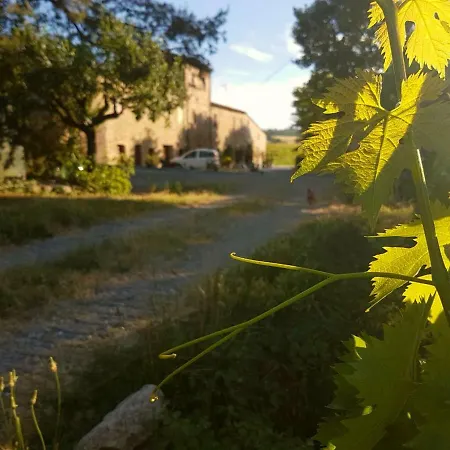 Podere Molino