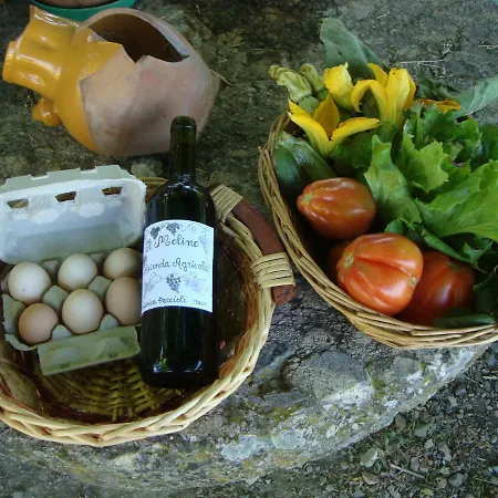 Podere Molino Ferienhaus