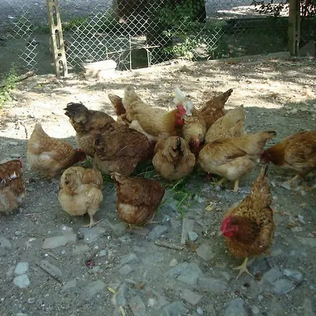 Podere Molino *