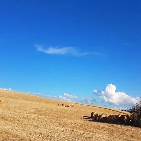 Podere Molino Peccioli